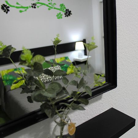 Surycan Tropical Garden Apartment Playa del Inglés Eksteriør bilde