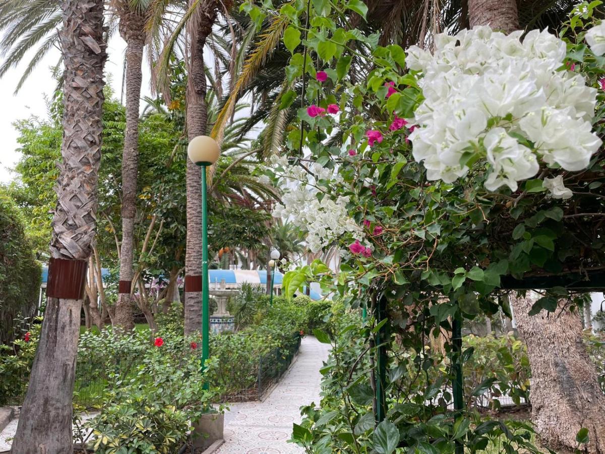 Surycan Tropical Garden Apartment Playa del Inglés Eksteriør bilde